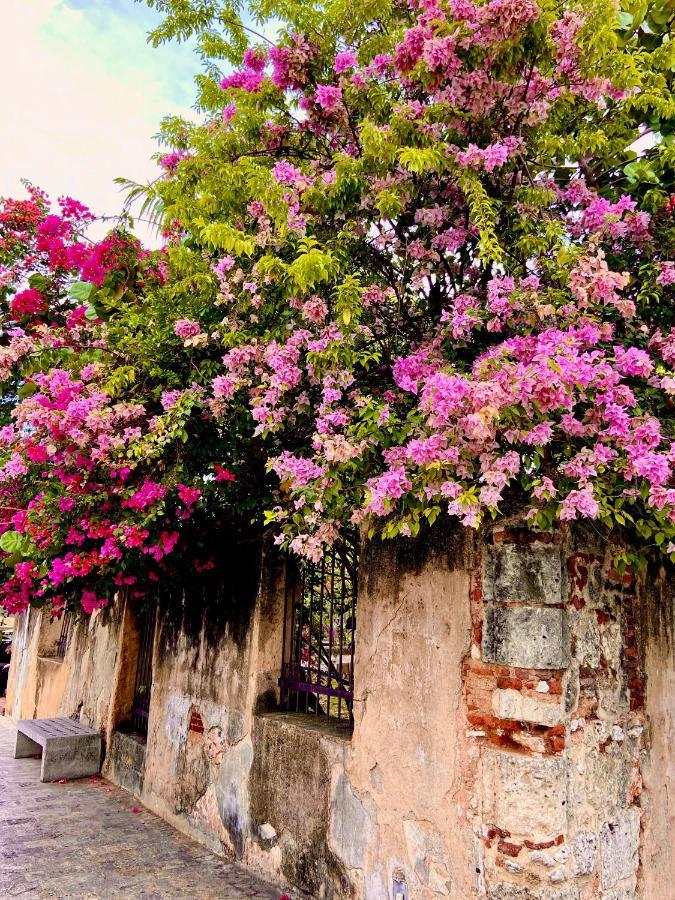 Boutique Hotel Casa Grande Santo Domingo Eksteriør billede